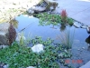 DSC00901