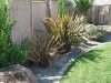 1167929818Landscaping_and_Boulders